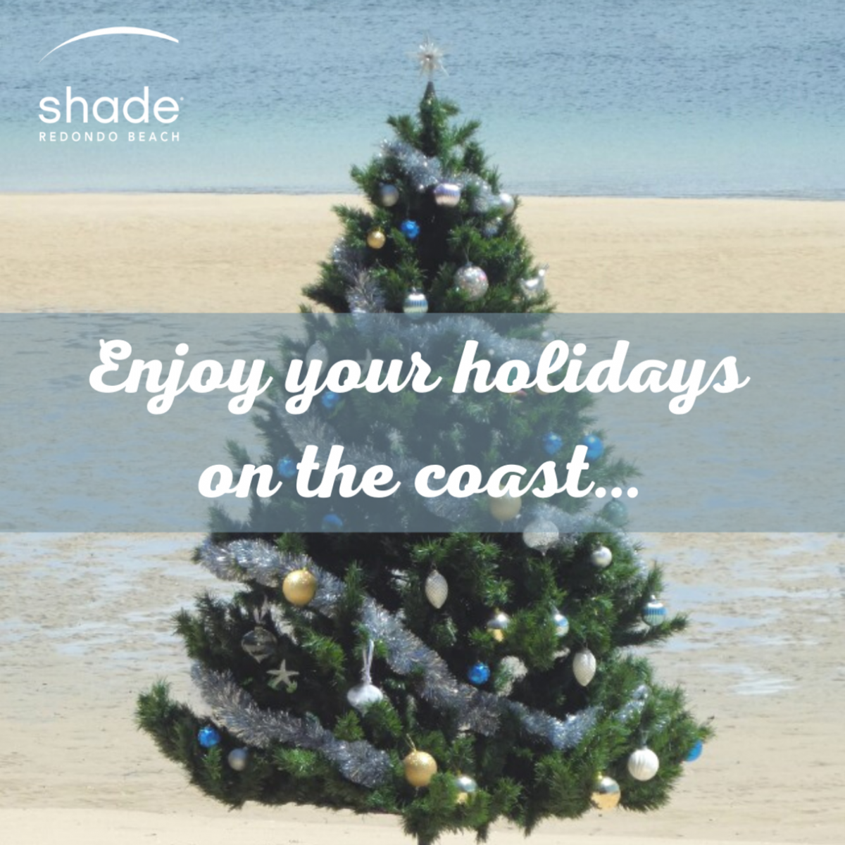 Holiday Room Sale Do you have family or friends visiting this holiday? Make it an oceanside staycation with room rates starting at only $222 now through January 6th, 2022. Reservation is Pre-Paid, Non-Cancellable & Non-Refundable. Date change valid within promotion period. Restrictions may apply.