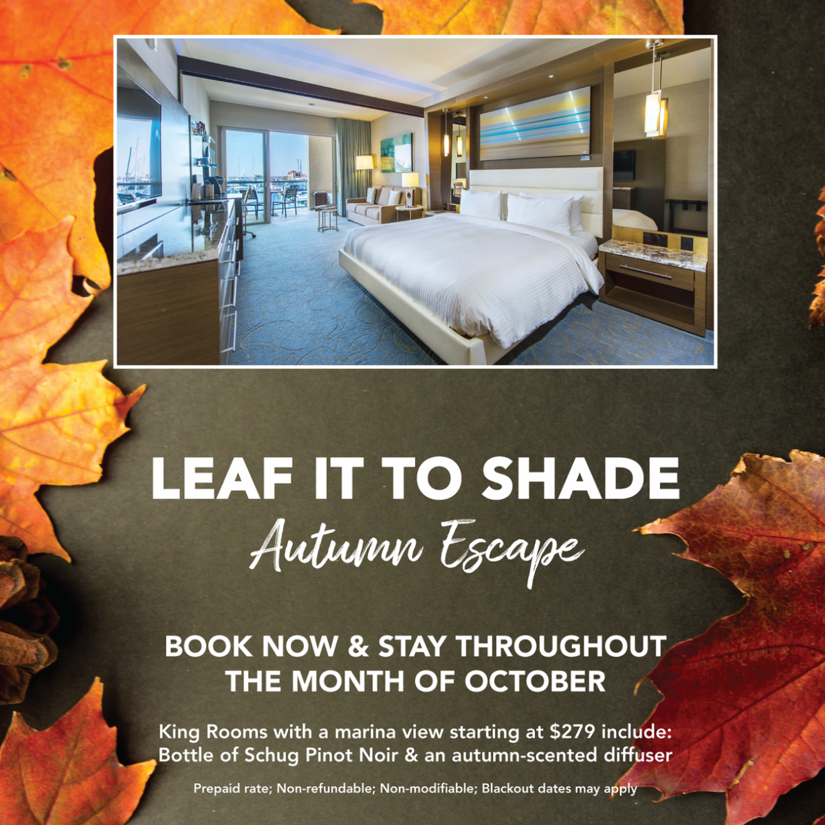Shade Hotel Redondo Beach Leaf promo